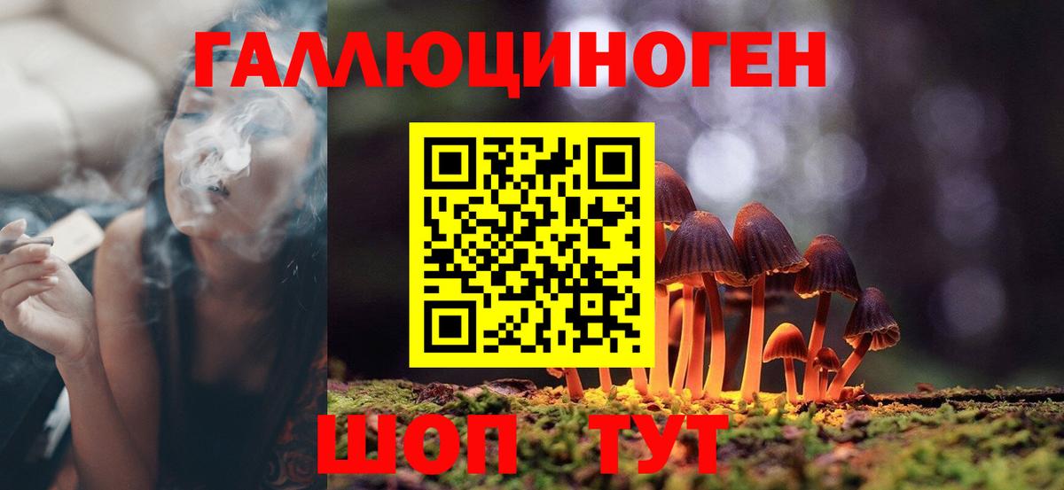Псилоцибиновые грибы Psilocybine cubensis  где купить   Сыктывкар  Вход с VPN 