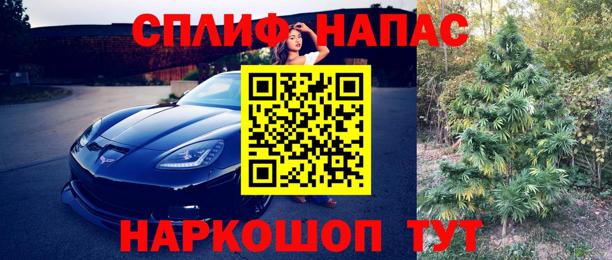 Бошки марихуана MAZAR Сыктывкар